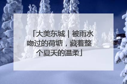 大美东城｜被雨水吻过的荷塘，藏着整个夏天的温柔
