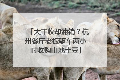 大丰收却滞销？杭州餐厅老板驱车两小时收购山地土豆