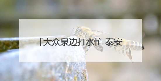 大众泉边打水忙 泰安人发明端午“山水粽”