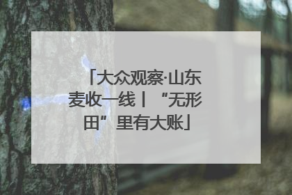 大众观察·山东麦收一线丨“无形田”里有大账