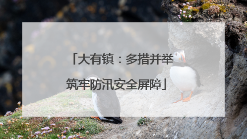 大有镇：多措并举筑牢防汛安全屏障