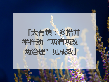 大有镇：多措并举推动“两清两改两治理”见成效