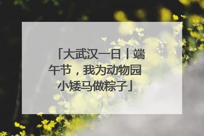 大武汉一日丨端午节，我为动物园小矮马做粽子