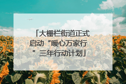 大栅栏街道正式启动“暖心万家行”三年行动计划