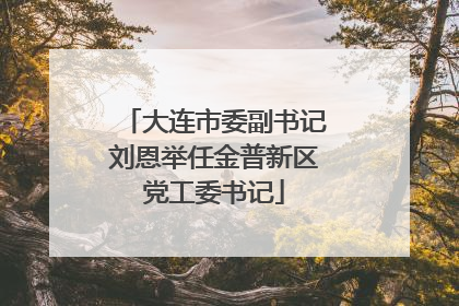 大连市委副书记刘恩举任金普新区党工委书记
