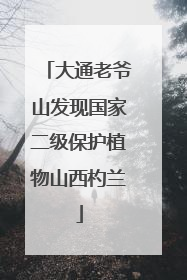 大通老爷山发现国家二级保护植物山西杓兰