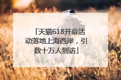 天猫618开幕活动落地上海西岸，引数十万人到访
