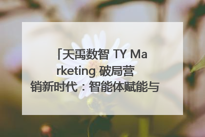 天禹数智 TY Marketing 破局营销新时代：智能体赋能与人才培育双轮驱动