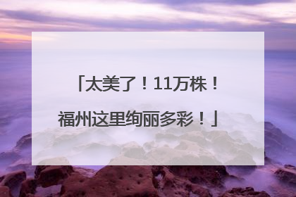太美了！11万株！福州这里绚丽多彩！