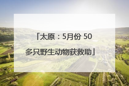 太原：5月份 50多只野生动物获救助
