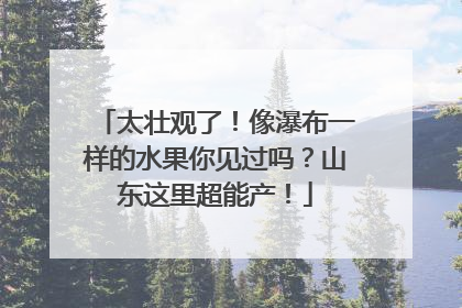 太壮观了！像瀑布一样的水果你见过吗？山东这里超能产！
