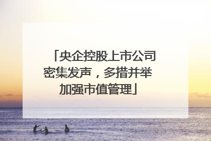 央企控股上市公司密集发声，多措并举加强市值管理