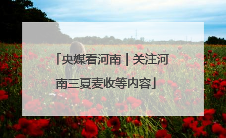央媒看河南｜关注河南三夏麦收等内容