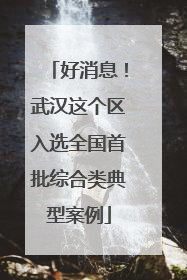 好消息！武汉这个区入选全国首批综合类典型案例