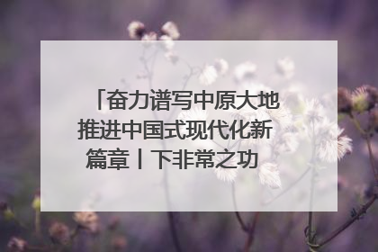奋力谱写中原大地推进中国式现代化新篇章丨下非常之功 战非常“三夏”