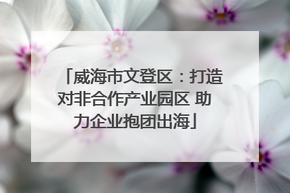 威海市文登区：打造对非合作产业园区 助力企业抱团出海