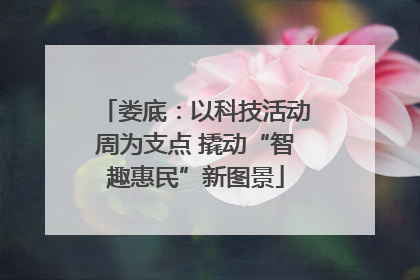 娄底：以科技活动周为支点 撬动“智趣惠民”新图景