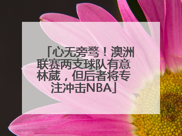 心无旁骛！澳洲联赛两支球队有意林葳，但后者将专注冲击NBA