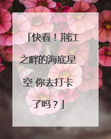 快看！荆江之畔的海底星空 你去打卡了吗？
