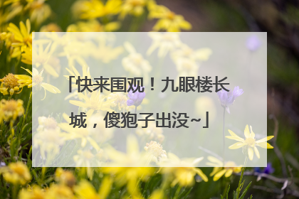 快来围观！九眼楼长城，傻狍子出没~