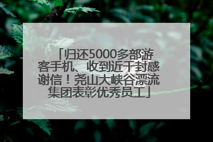 归还5000多部游客手机、收到近千封感谢信！尧山大峡谷漂流集团表彰优秀员工