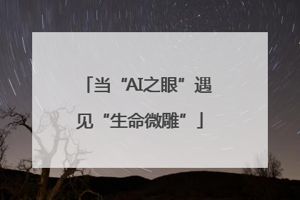 当“AI之眼”遇见“生命微雕”