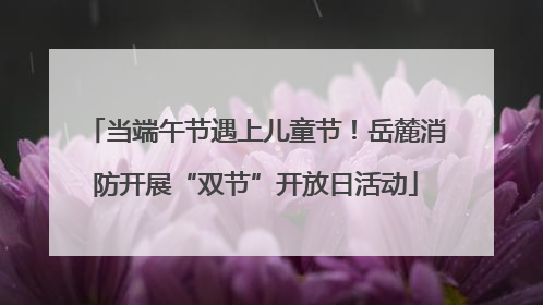当端午节遇上儿童节！岳麓消防开展“双节”开放日活动