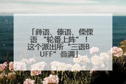 彝语、傣语、傈僳语 “轮番上阵”！这个派出所“三语BUFF”叠满