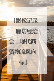 影像记录｜廊坊经洽会，现代商贸物流风向标