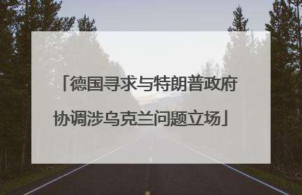 德国寻求与特朗普政府协调涉乌克兰问题立场