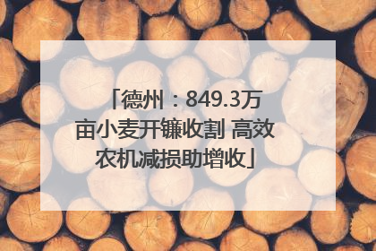 德州：849.3万亩小麦开镰收割 高效农机减损助增收