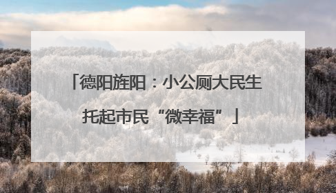 德阳旌阳：小公厕大民生 托起市民“微幸福”
