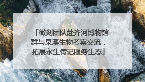 微刻团队赴齐河博物馆群与泉溪生物考察交流，拓展永生传记服务生态