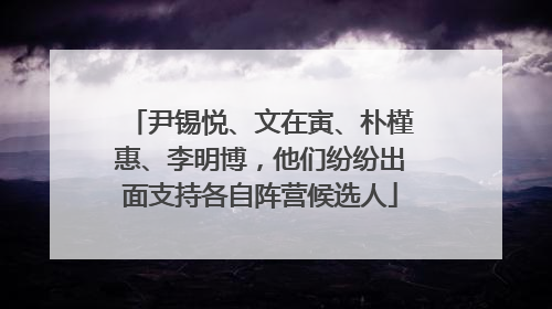 尹锡悦、文在寅、朴槿惠、李明博，他们纷纷出面支持各自阵营候选人