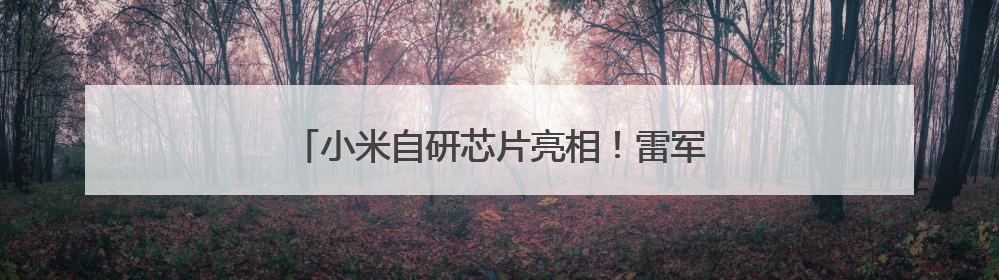 小米自研芯片亮相！雷军：这是场绕不过去的硬仗