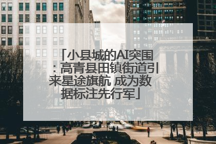 小县城的AI突围：高青县田镇街道引来星途旗航 成为数据标注先行军