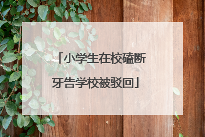 小学生在校磕断牙告学校被驳回