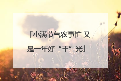 小满节气农事忙 又是一年好“丰”光