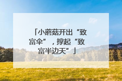 小蘑菇开出“致富伞”，撑起“致富半边天”