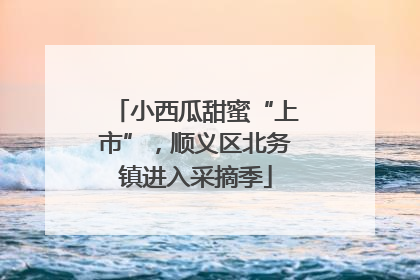 小西瓜甜蜜“上市”，顺义区北务镇进入采摘季