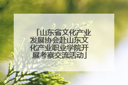 山东省文化产业发展协会赴山东文化产业职业学院开展考察交流活动