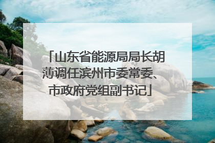 山东省能源局局长胡薄调任滨州市委常委、市政府党组副书记