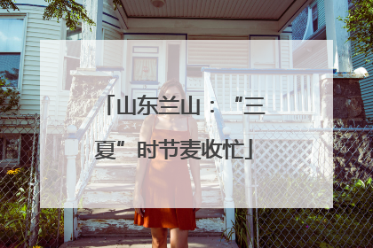 山东兰山：“三夏”时节麦收忙