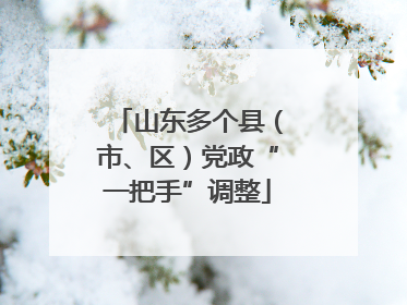 山东多个县（市、区）党政“一把手”调整
