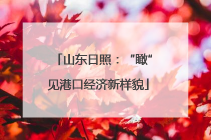 山东日照：“瞰”见港口经济新样貌