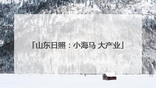 山东日照：小海马 大产业