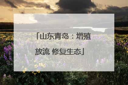 山东青岛：增殖放流 修复生态