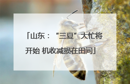 山东：“三夏”大忙将开始 机收减损在田间