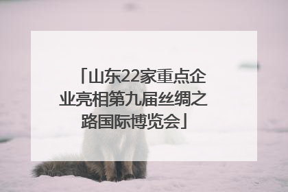 山东22家重点企业亮相第九届丝绸之路国际博览会