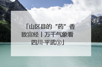 山区县的“药”香致富经丨万千气象看四川·平武③